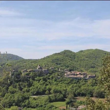 La Maison Dans Les Pins *